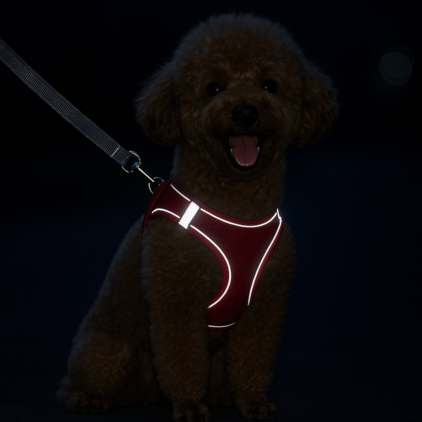 Small Dog Harness & Leash Set – Lightweight, Escape-Proof Vest for Toy Breeds