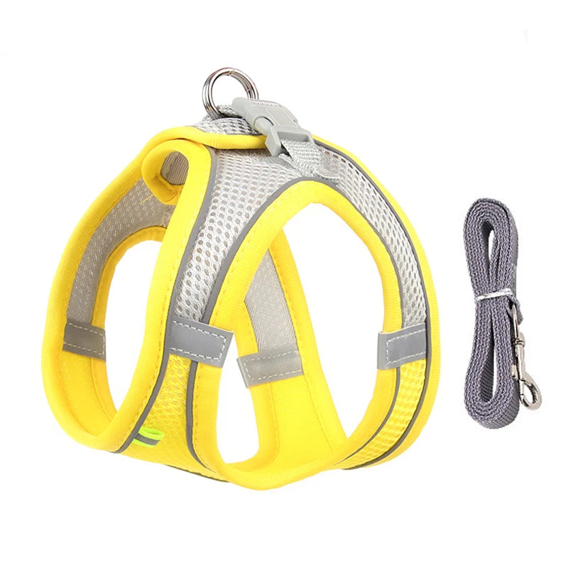 Small Dog Harness & Leash Set – Lightweight, Escape-Proof Vest for Toy Breeds