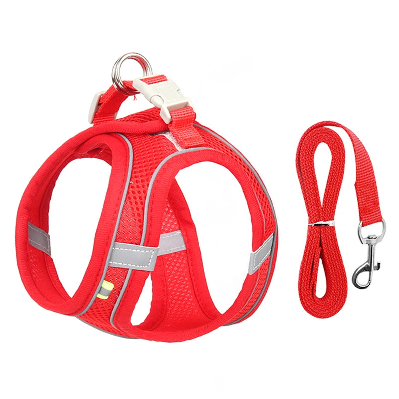 Small Dog Harness & Leash Set – Lightweight, Escape-Proof Vest for Toy Breeds