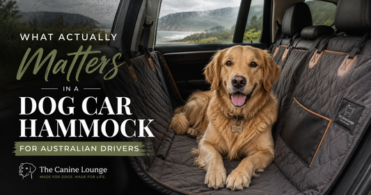 How to Choose a Dog Car Hammock for Australian Drivers
