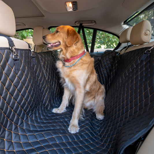 How to Choose a Dog Car Hammock for Australian Drivers