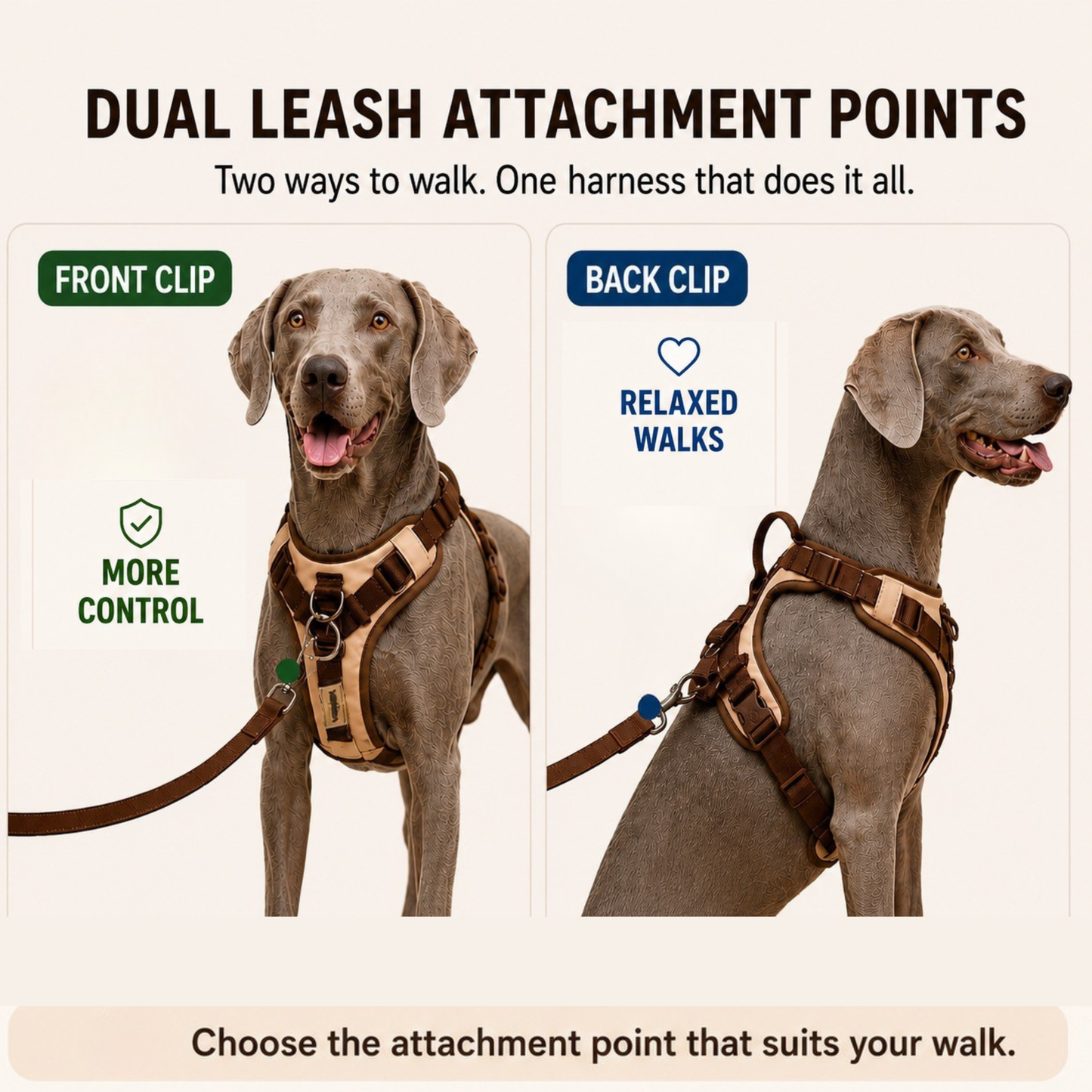 Reflective Dog Harness with Dual Clips