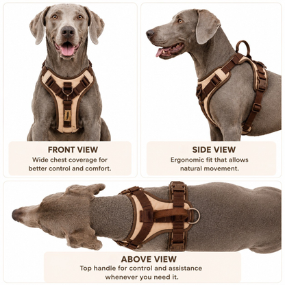 Reflective Dog Harness with Dual Clips