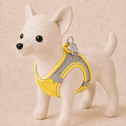 Small Dog Harness & Leash Set