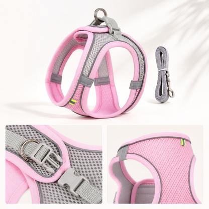 Small Dog Harness & Leash Set