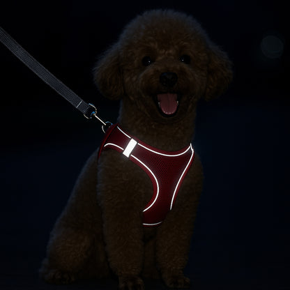 Small Dog Harness & Leash Set – Lightweight, Escape-Proof Vest for Toy Breeds