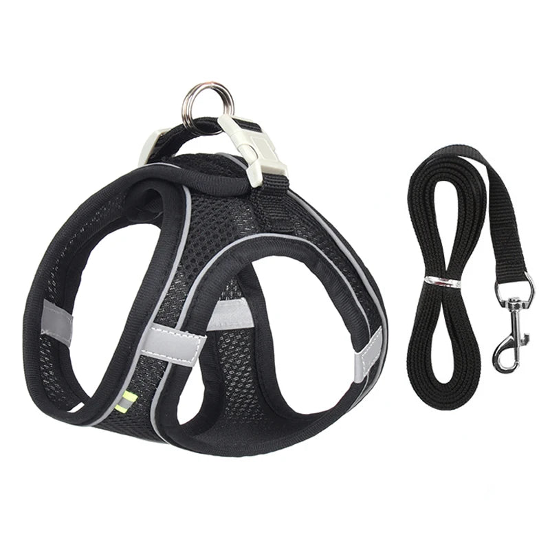 Small Dog Harness & Leash Set – Lightweight, Escape-Proof Vest for Toy Breeds