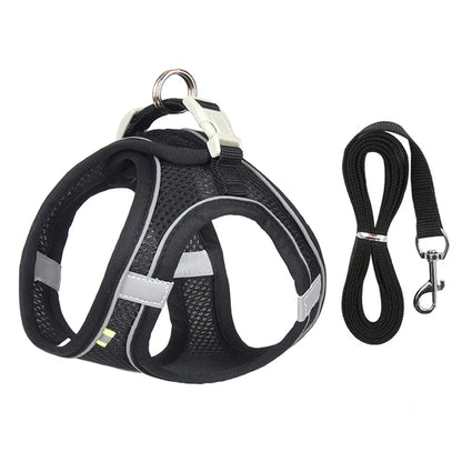 Small Dog Harness & Leash Set – Lightweight, Escape-Proof Vest for Toy Breeds
