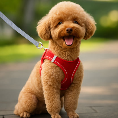 Small Dog Harness & Leash Set – Lightweight, Escape-Proof Vest for Toy Breeds