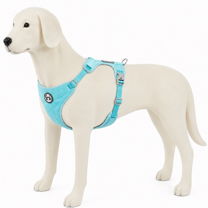Lightweight & Breathable Dog Harness