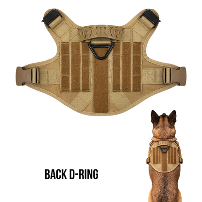 Dual-Clip Tactical Dog Harness & Leash Set