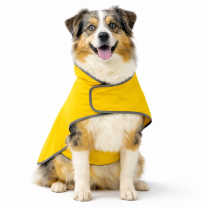 Front view of dog wearing yellow waterproof raincoat with hood