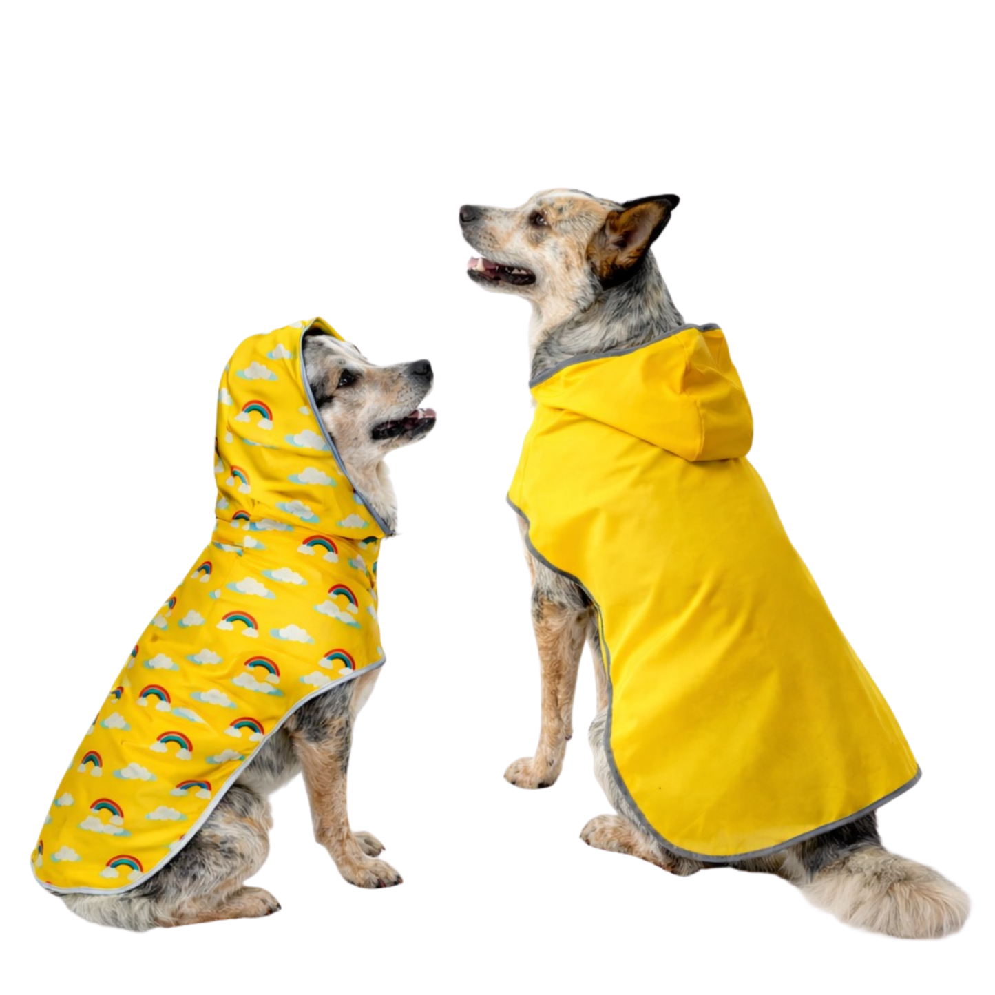 Dogs wearing yellow waterproof dog raincoats with hood showing pattern and solid styles