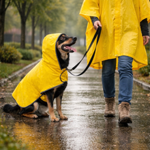 Dog wearing yellow waterproof raincoat walking in the rain with owner