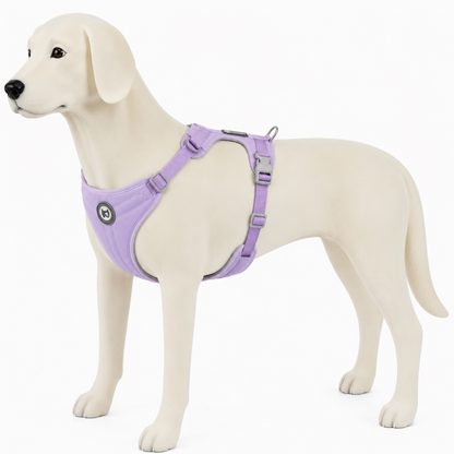 Lightweight & Breathable Dog Harness
