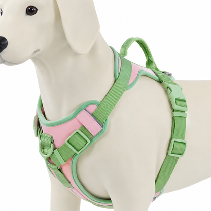 Reflective Dog Harness with Dual Clips