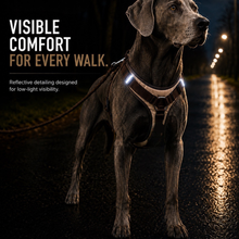 Mocha reflective dog harness with reflective detailing in low-light conditions