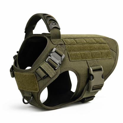 Dual-Clip Tactical Dog Harness & Leash Set