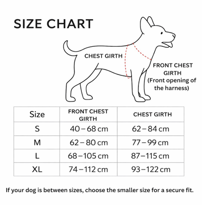 Dual-Clip Tactical Dog Harness & Leash Set