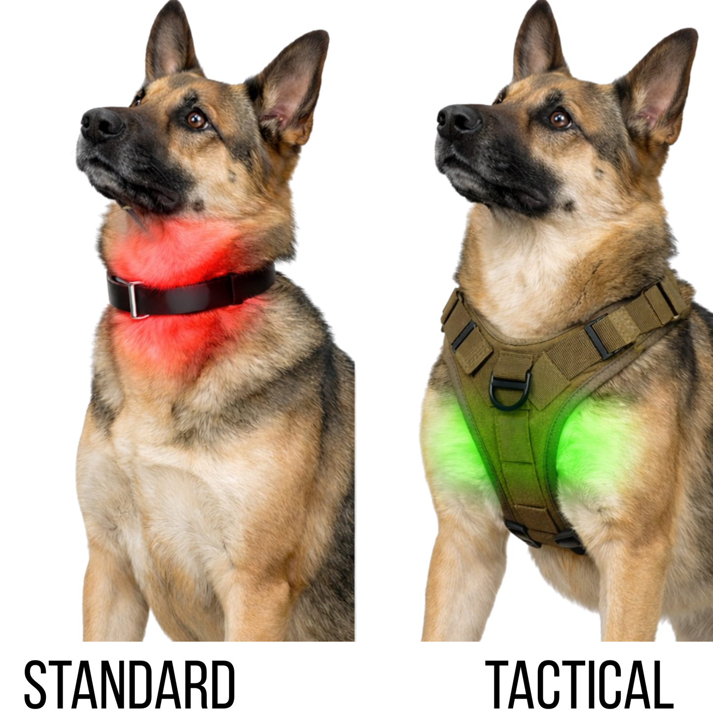 Dual-Clip Tactical Dog Harness & Leash Set