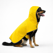 Reversible Waterproof Dog Raincoat with Harness Opening