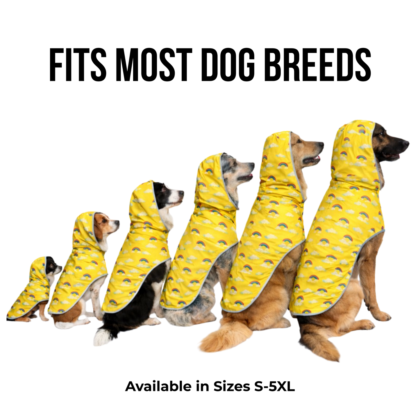Waterproof dog raincoat worn by different dog breeds to show size range