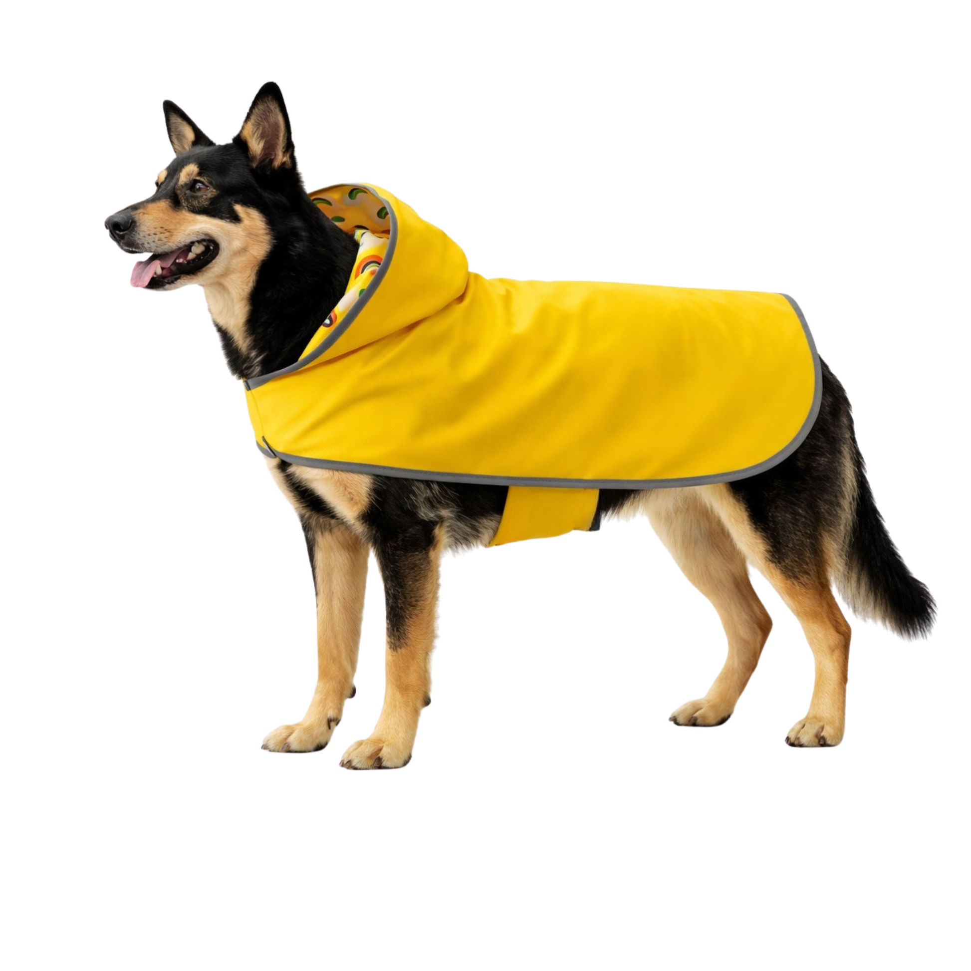 Dog wearing yellow waterproof raincoat with hood